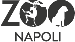 napoli napoli